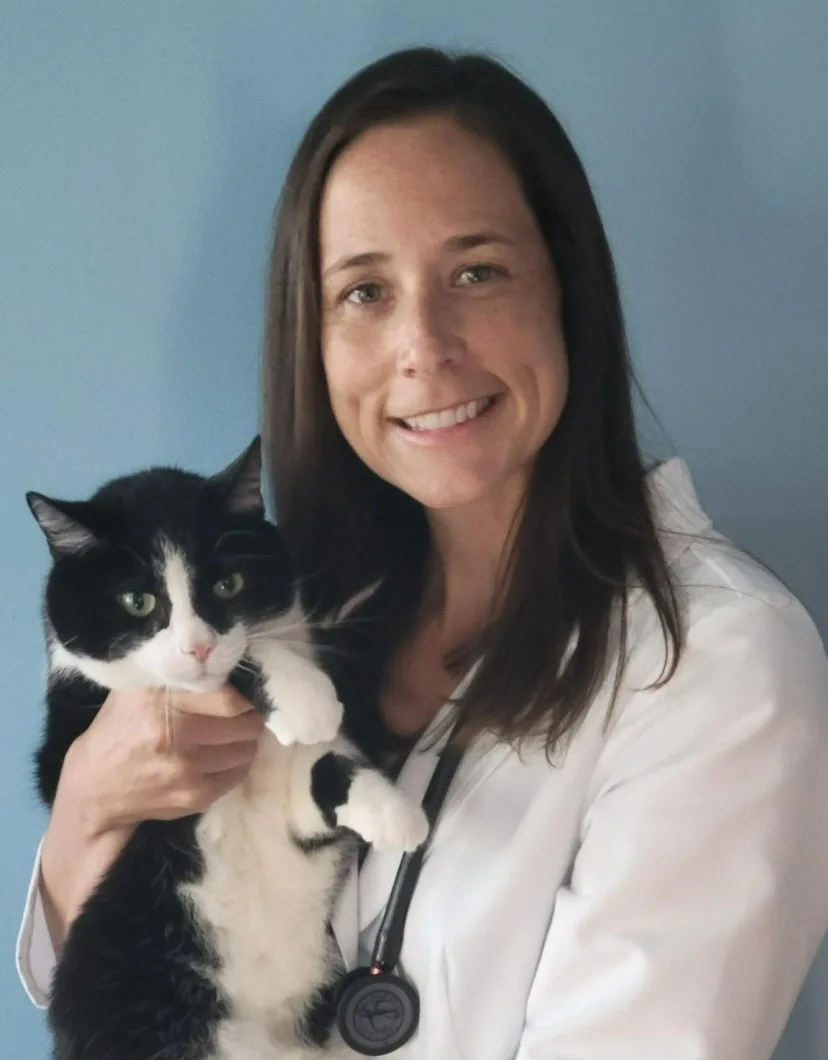Nicole R. Stalnaker at Parkersburg Veterinary Hospital